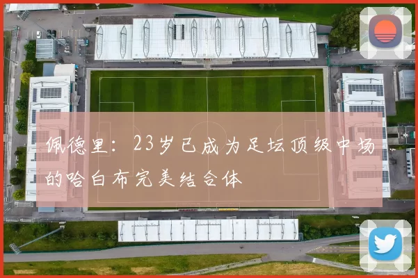 佩德里：23岁已成为足坛顶级中场的哈白布完美结合体